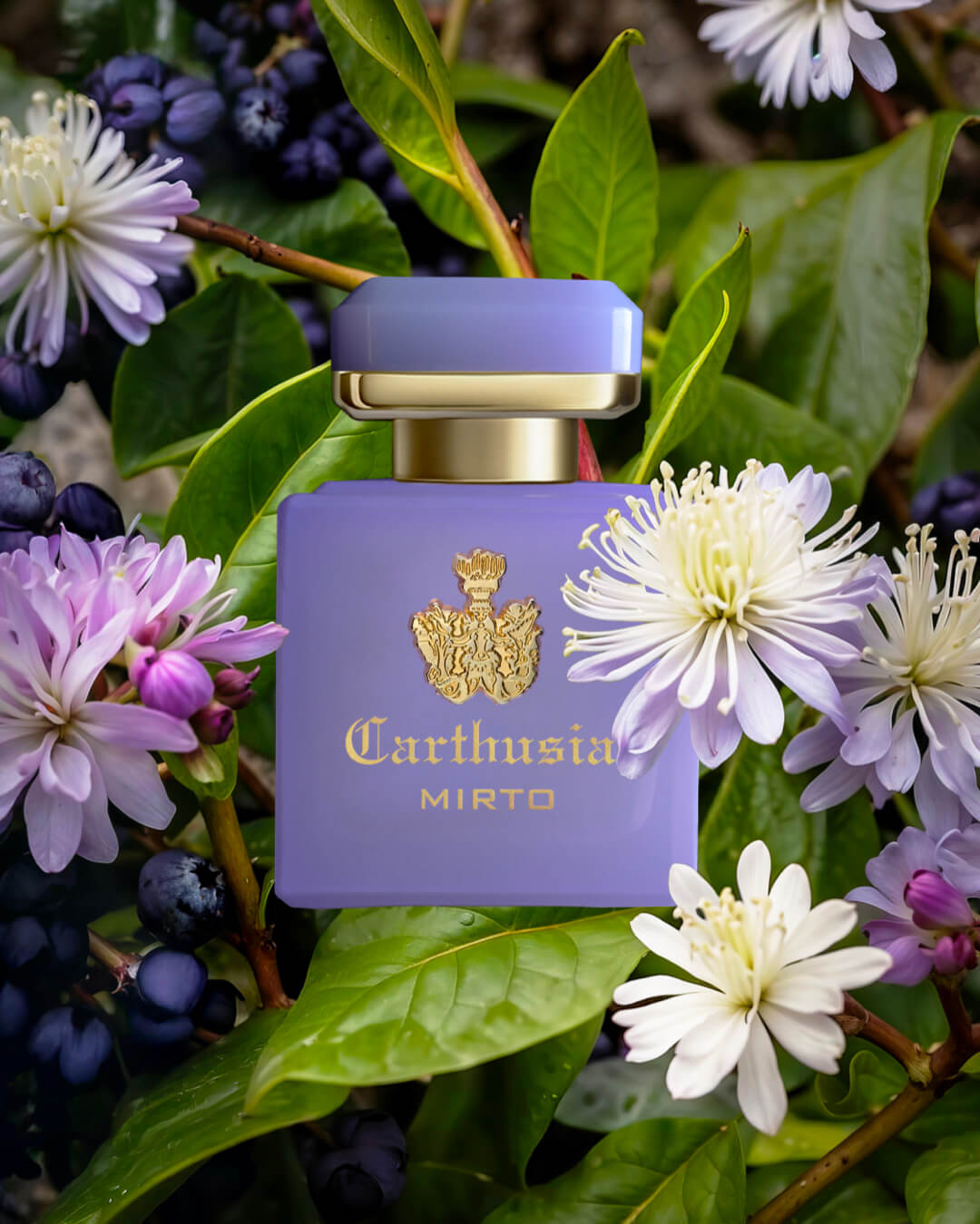 CARTHUSIA-INTENSO DI MIRTO,i profumi di capri