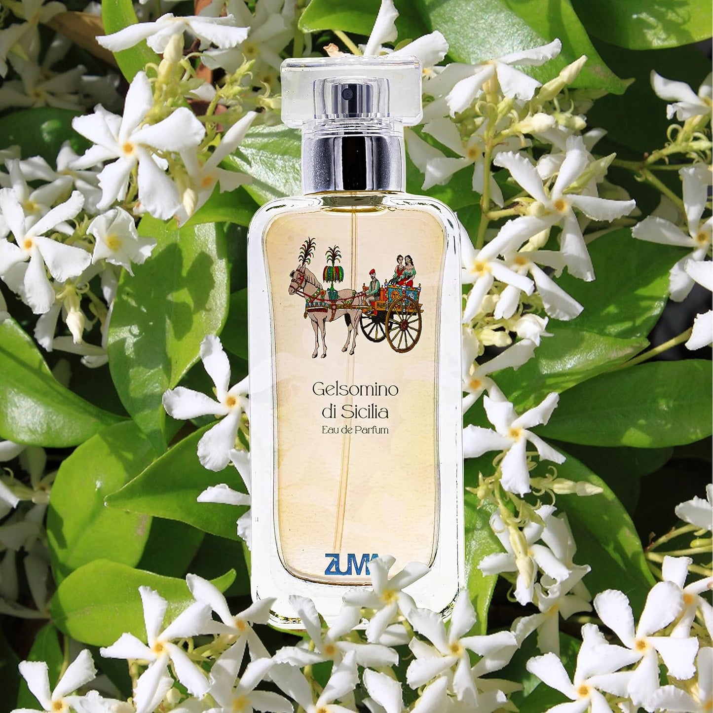 ZUMA - Gelsomino di Sicilia EDP