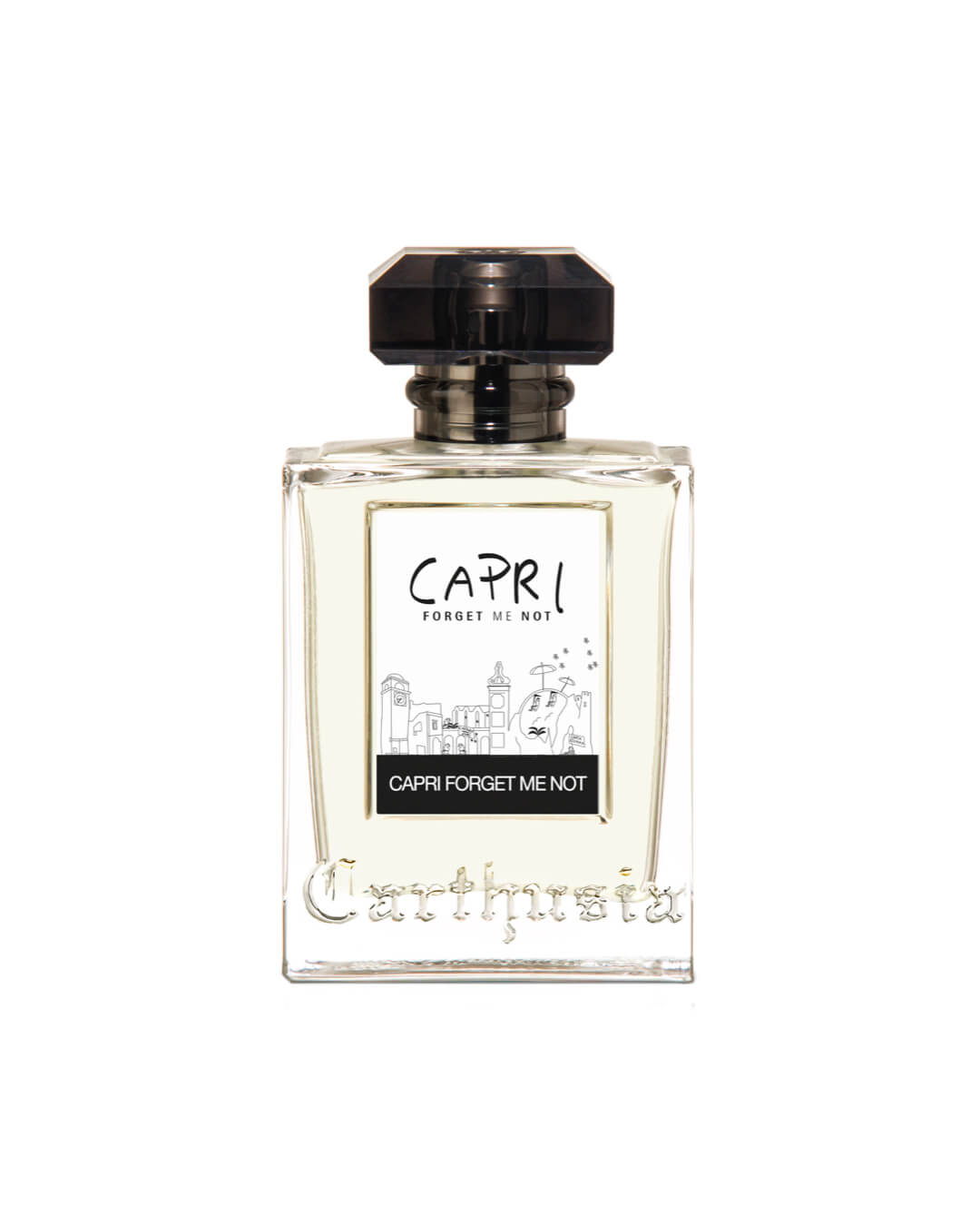 CARTHUSIA - Capri Forget Me Not