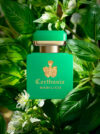 CARTHUSIA-INTENSO DI BASILICO,i profumi di capri